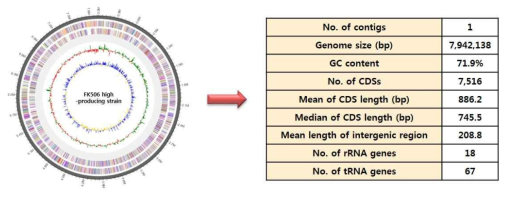 FK506 고생산 균주 유전체 분석결과