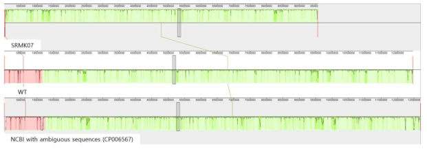 야생형 균주 및 SRMK07 균주의 유전체 데이터