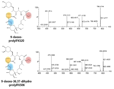 9-deoxo-prolylFK520과 9-deoxo-36,37-dihydro-prolylFK506의 MS/MS spectra