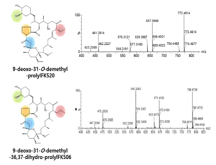 9-deoxo-31-O-demethyl-prolylFK520과 9-deoxo-31-O-demethyl-36,37-dihydro-prolylFK506의 MS/MS spectrum