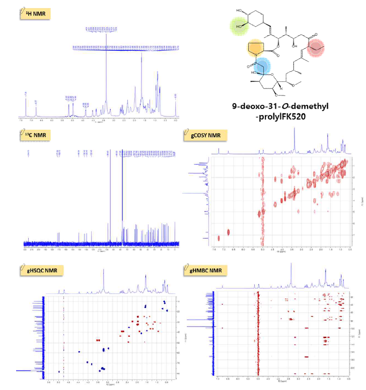 1H-, 13C-, gCOSY, gHSQC, gHMBC NMR 등을 이용한 구조분석 결과 예시 (예: 9-deoxo-31-O-demethyl-prolylFK520)