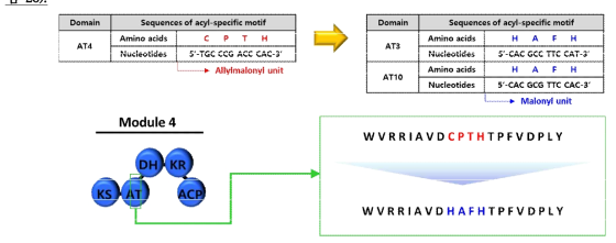 FK506 PKS module 4번의 AT domain motif 치환