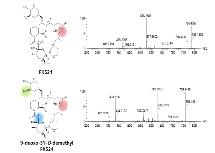 FK524와 9-deoxo-31-O-demethylFK524의 MS/MS spectrum