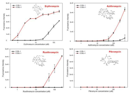 CCBL-1과 CCBLt-1을 이용한 erythromycin 및 유사체 센싱