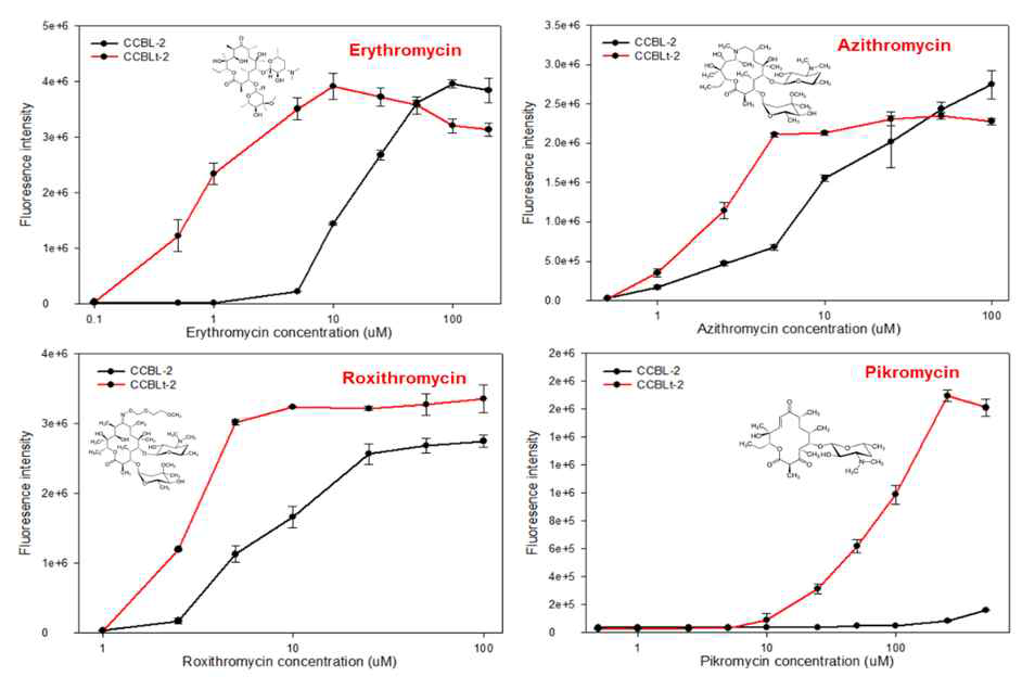 CCBL-2와 CCBLt-2를 이용한 erythromycin 및 유사체 센싱