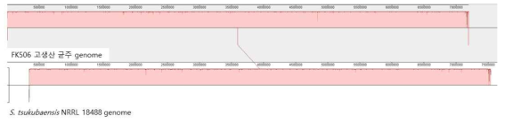 FK506 고생산 균주와 S. tsukubaensis NRRL18488 균주의 genome 비교