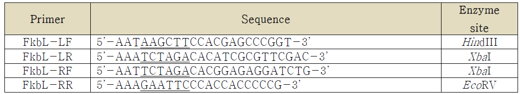 fkbL 유전자 제거용 primer 서열