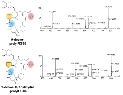 9-deoxo-prolylFK520과 9-deoxo-36,37-dihydro-prolylFK506의 MS/MS spectra