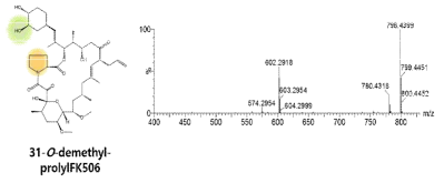 31-O-demethyl-prolylFK506의 MS/MS spectrum