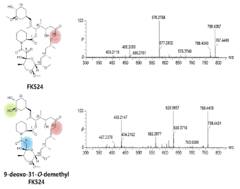 FK524와 9-deoxo-31-O-demethylFK524의 MS/MS spectrum