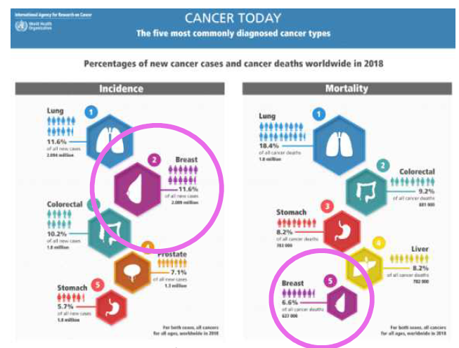 세계 유방암의 발생률과 사망률 (2018)