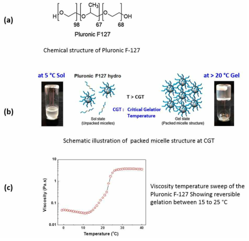 Development of hydrogel-based ink