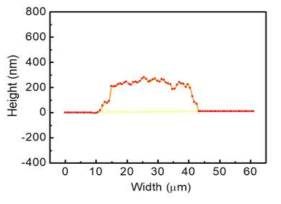 AFM으로 측정한 선폭 패턴의 두께 profile