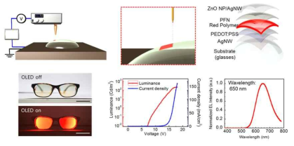 제작된 red OLED 소자의 발광 특성 평가 및 구동 이미지