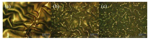 첨가제 무게 비율에 따른 PDMS 표면 돌기 구조 변화 (a) 5 wt% (b) 10 wt% (c) 15 wt%