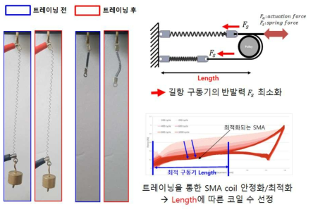 Training을 통한 TCSA 구동기 최적화