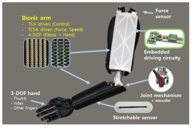 힘, 속도, 안정성이 개선된 바이오닉암의 구성