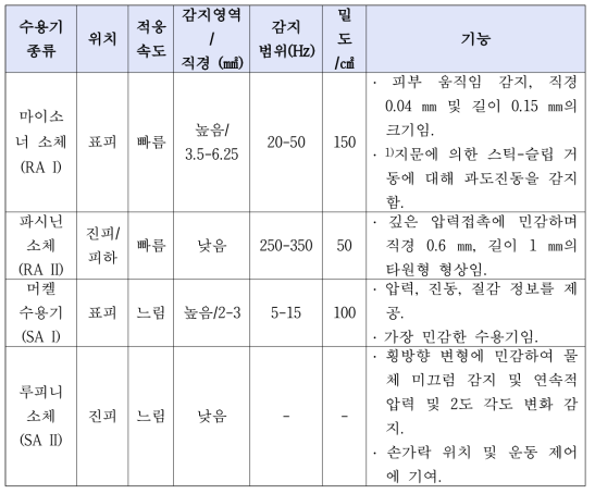 촉각 수용기의 특성