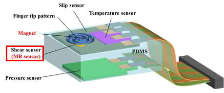 3차원센서 집합체 및 전단력 센서 모식도