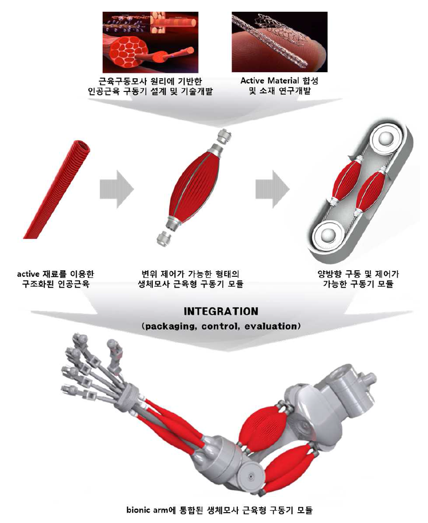 생체모사 근육형 구동기 연구개발 개요도