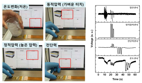 생체모사 피부형센서 3차원 집합체의 외부 온도, 동적압력, 정적압력, 전단력에 대한 특성 평가 실험 사진 및 그래프