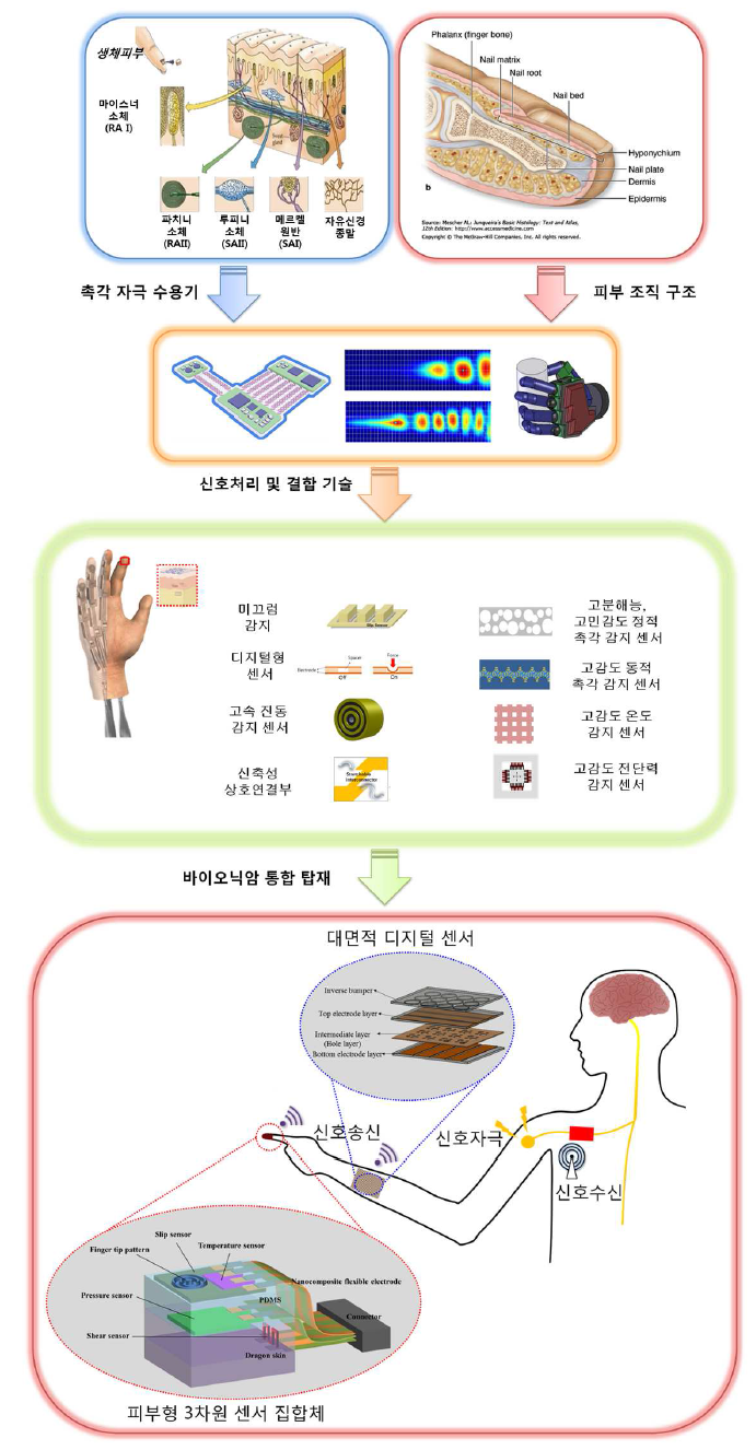 생체모사 피부형 센서 연구개발 개요도