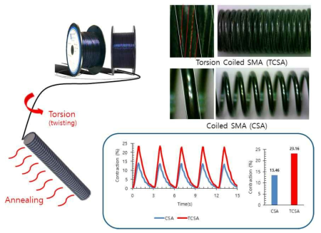 트위스팅과 코일을 가하여 제작되는 형상기억합금 구동기