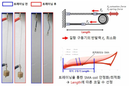 Training을 통한 TCSA 구동기 최적화