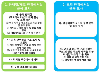 1단계에서의 연구내용 및 결과 요약