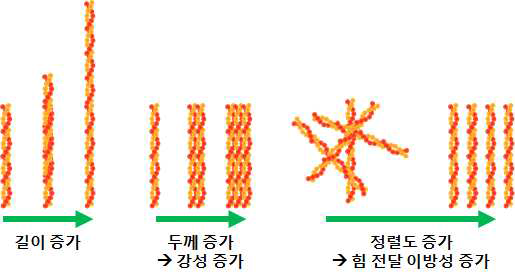 액토마이오신 수축과 관련된 파라미터