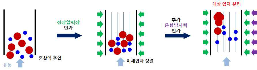 음향파 기반 유체 내 입자 조작 기술의 개요도