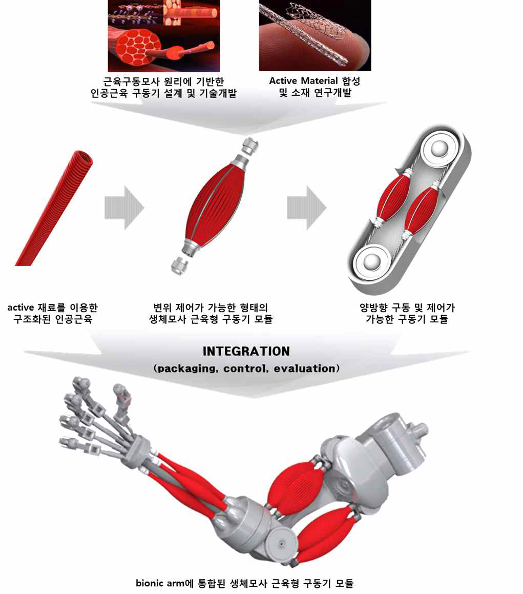 생체모사 근육형 구동기 연구개발 개요도