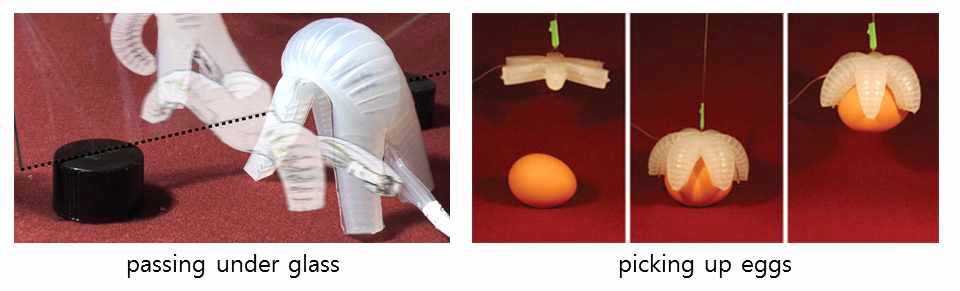 Soft robot, harvard university