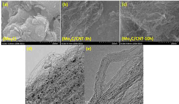합성한 Mo2C/CNT and W2C/CNT hy brid 의 TEM 사진