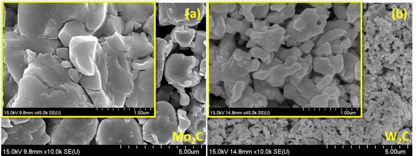 합성된 Mo2C, W2C 나노구조의 SEM 사진