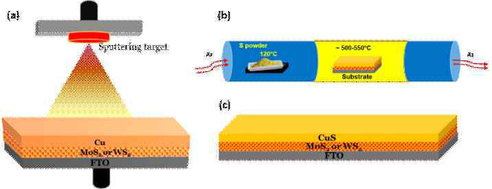 CuS/WS2, CuS/MoS2 합성 도식도 (a) MoS2, WS2/FTO 기판위 Cu 증착. (b) CuS/WS2 , CuS/MoS2 이종구조의 합성