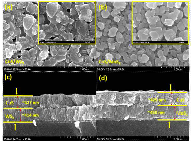 CuS/WS2, CuS/MoS2 SEM 사진