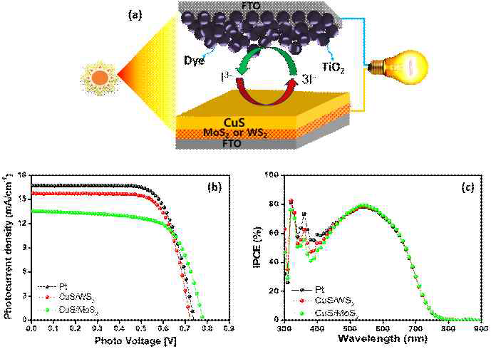 Pt, CuS/MoS2, CuS/WS2 CEDSSC의 변환효율 (b), (C) IPCE 곡선