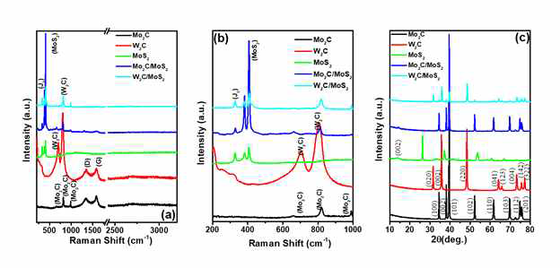 Mo2C/MoS2 와 W2C/MoS2 의 Raman spectrum