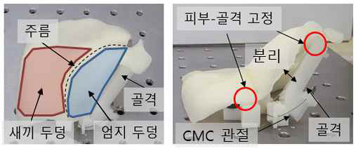 인체 주름 모사 표피층과 엄지 두덩 구조가 적용된 피부