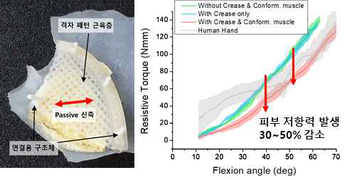 근육층 구조 개선 및 굽힘에 대한 피부 저항력 감소