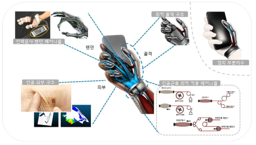 생체모사 바이오닉 손 메커니즘 연구 개요