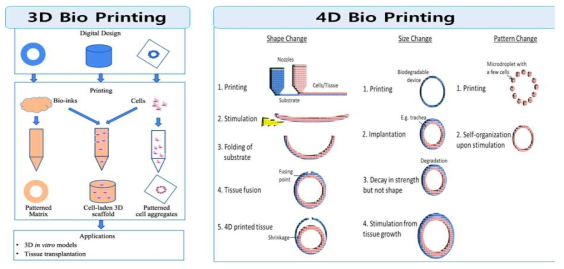 4D 바이오프린팅의 개념