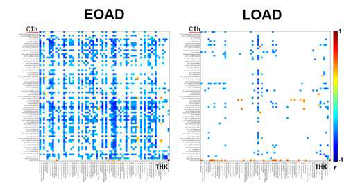 EOAD와 LOAD의 tau 침착과 피질두께의 correlation matrix