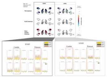 subcortical structure와 tau PET, amyloid PET 및 cortical thickness와의 correlation