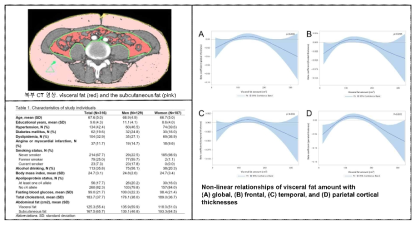 복부 CT 영상으로부터 산출된 복부지방양과 대뇌 피질 두께와의 상관관계