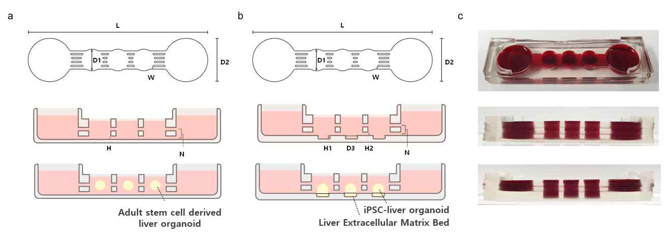 간 오가노이드 배양을 위한 3채널 챔버 마이크로 디바이스 제작