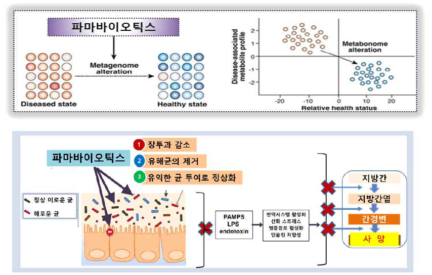 질환 치료 개념도(인체유래 파마바이오틱스를 이용한 장내 마이크로바이옴의 정상화 유도)