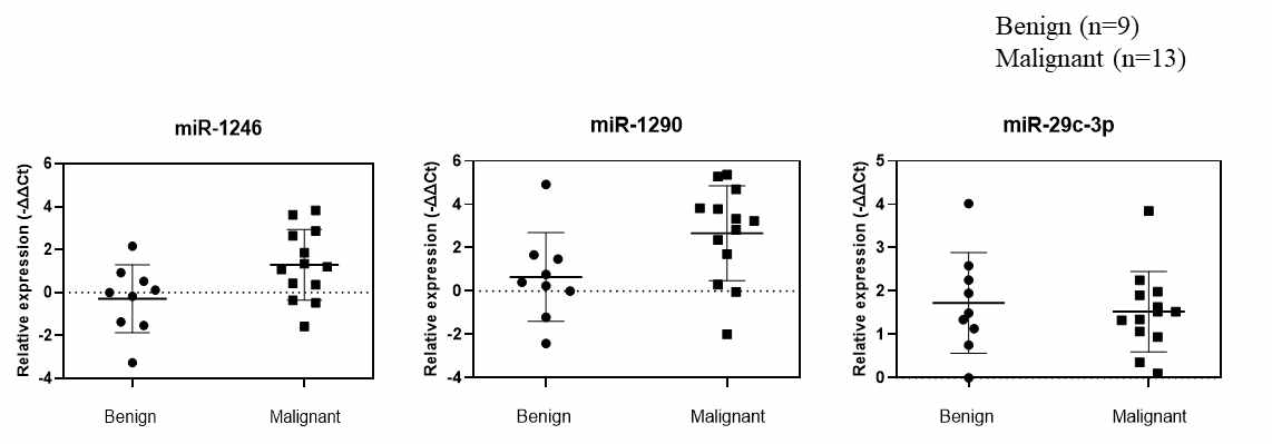 Tissue miRNA(FFPE) sample 에서 추출한 miRNA의 qRT-PCR결과