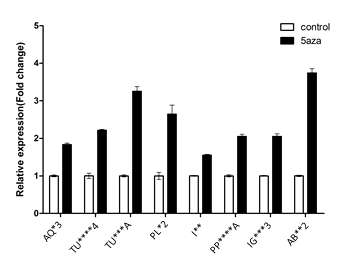 Primary skin fibroblast 세포에 5-aza-deoxycytidine을 처리한 후 선별된 유전자의 발현변화